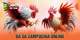 Các loại đá gà phổ biến