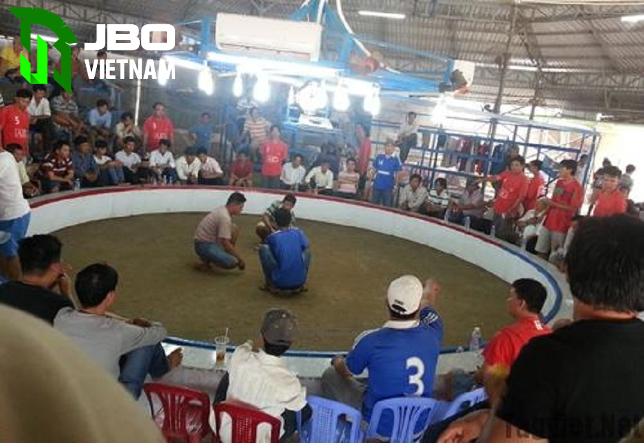 Đá gà Campuchia thu hút người chơi