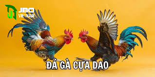 Các bước diễn ra đá gà cựa dao